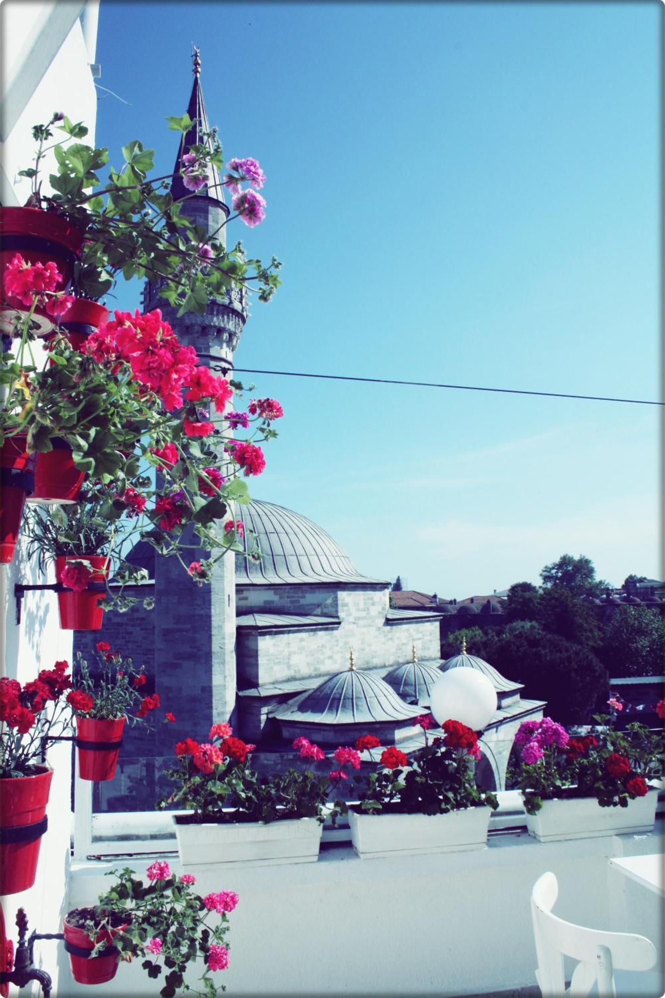 No20 Hotel Sultanahmet Isztambul Kültér fotó